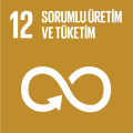 SDG 12