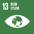 SDG 13