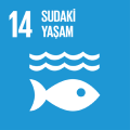 SDG 14