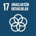 SDG 17