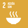 SDG 2