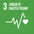 SDG 3