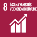 SDG 8